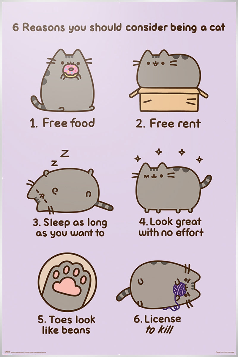 Reasons To Be A Cat