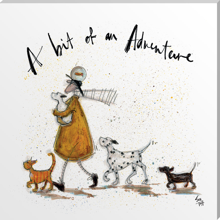 A Bit of an Adventure