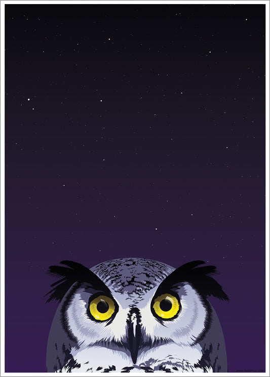Wide-Eyed Owl
