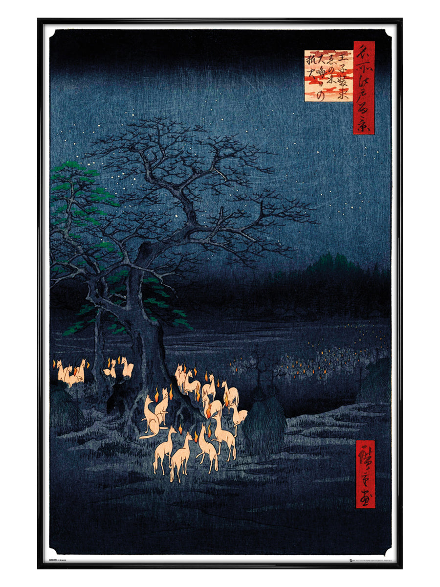 New Years Eve Foxfire