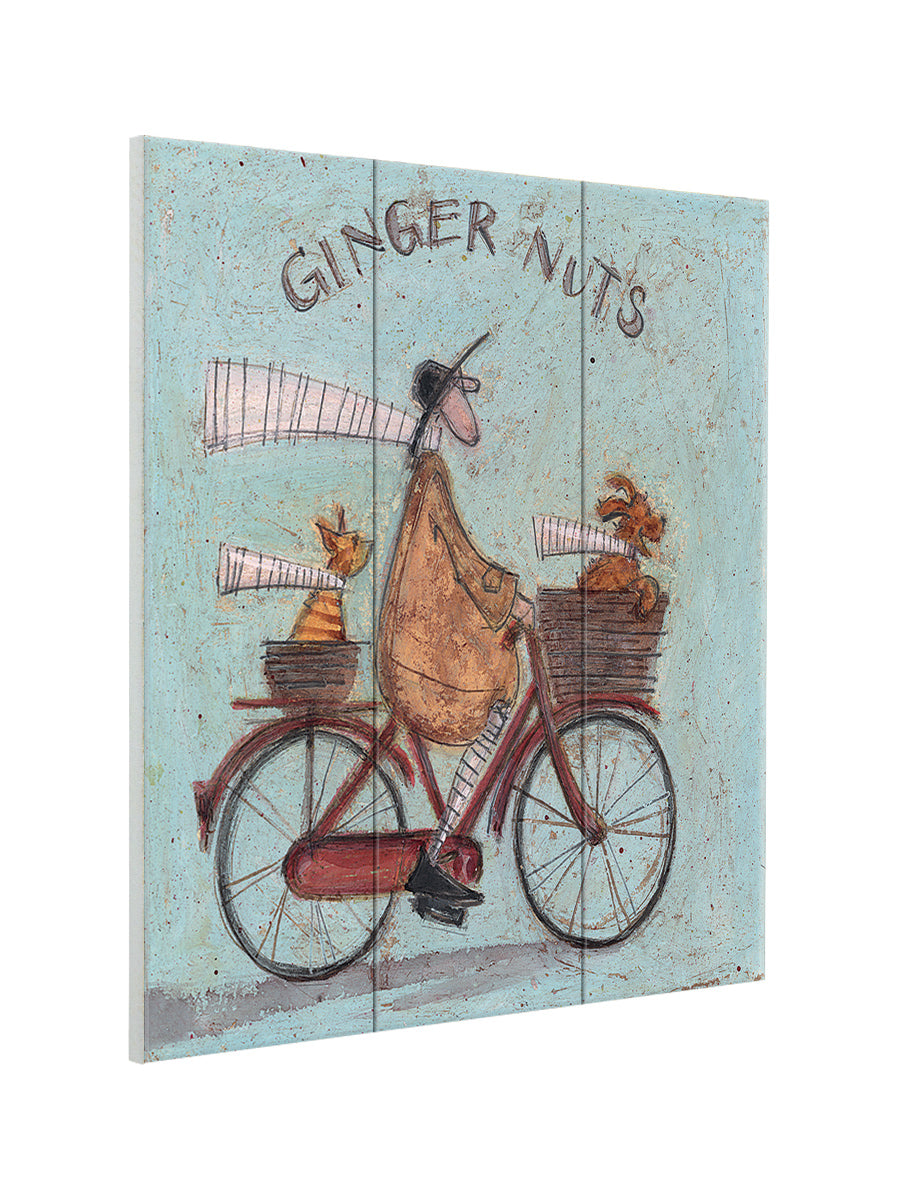Ginger Nuts