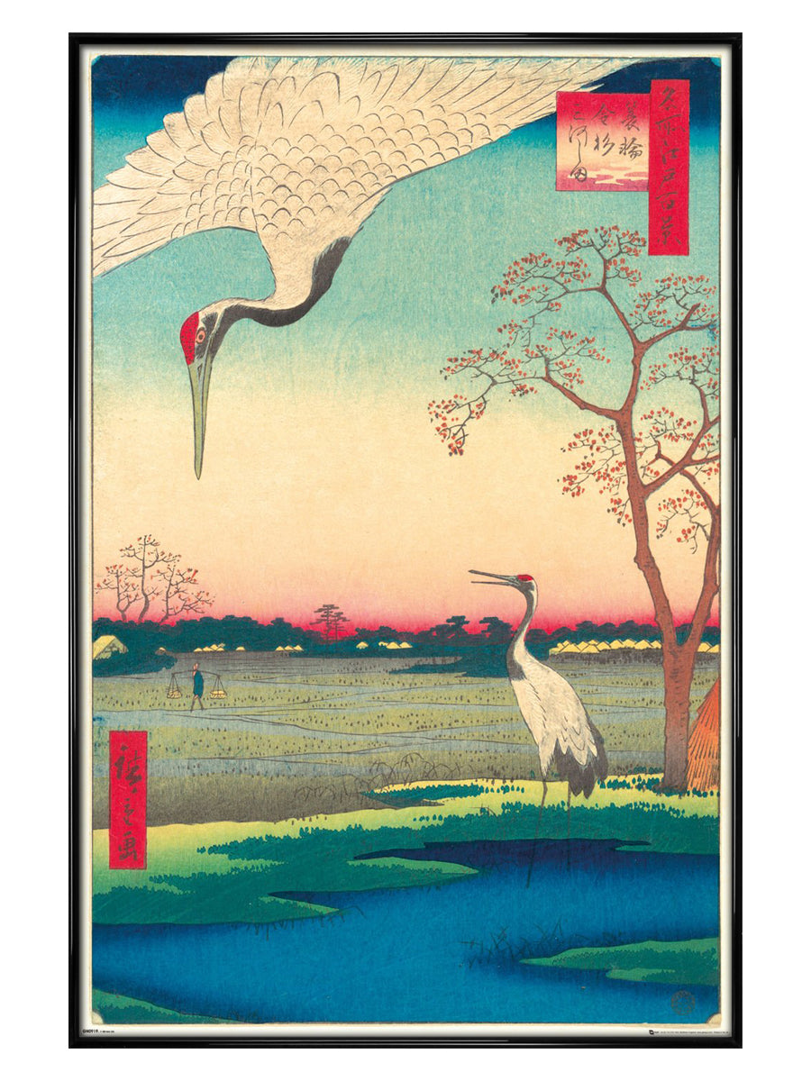 Kanasugi at Mikawashima