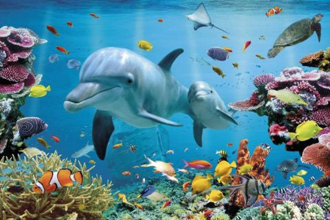 Underwater Dolphin Fantasy