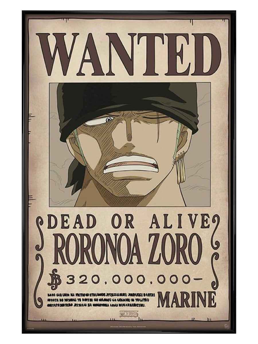 Wanted Zoro