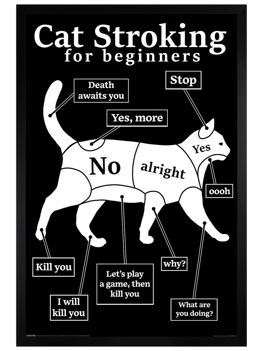 Cat Stroking For Beginners