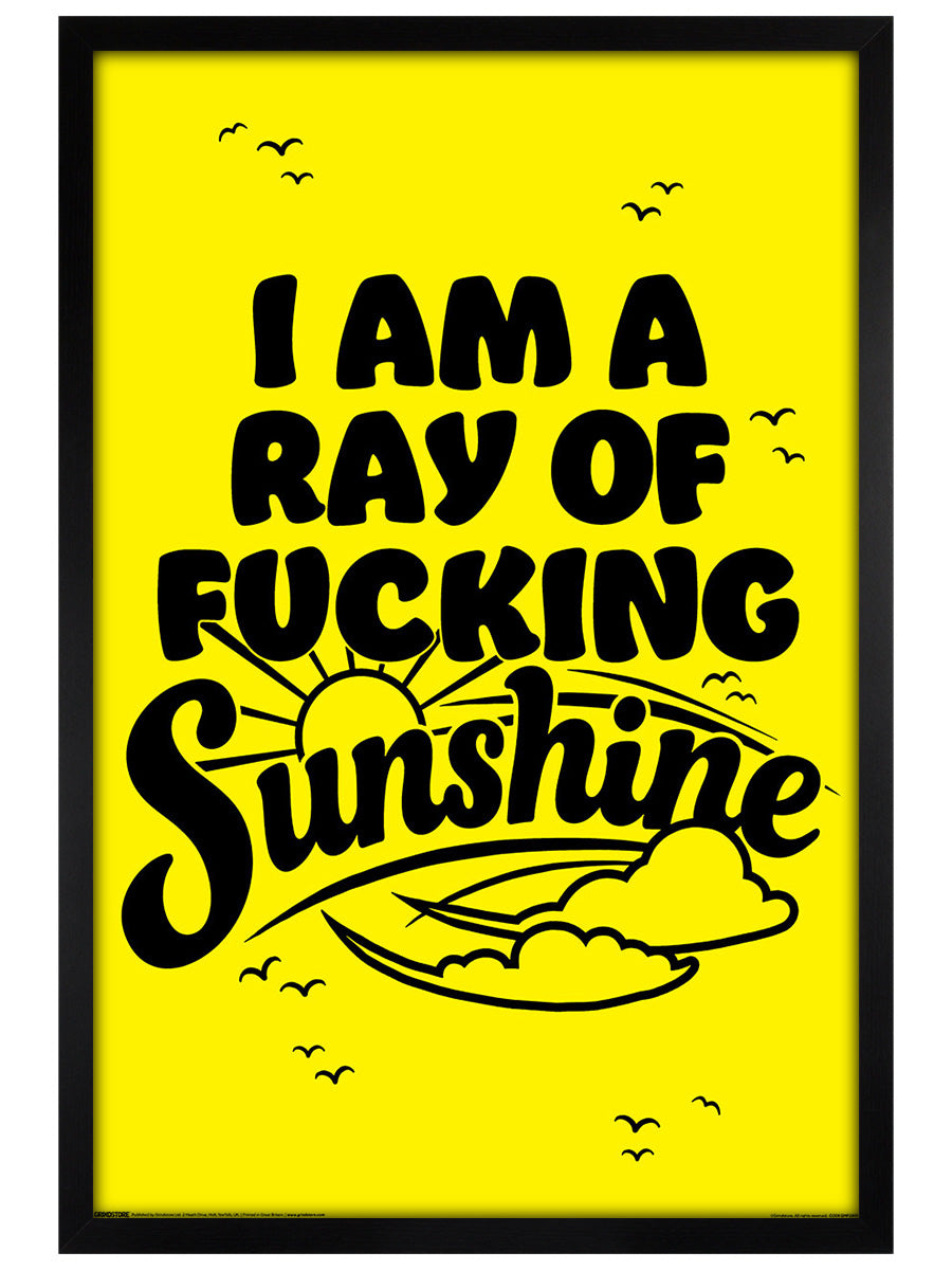 I Am A Ray Of Fucking Sunshine