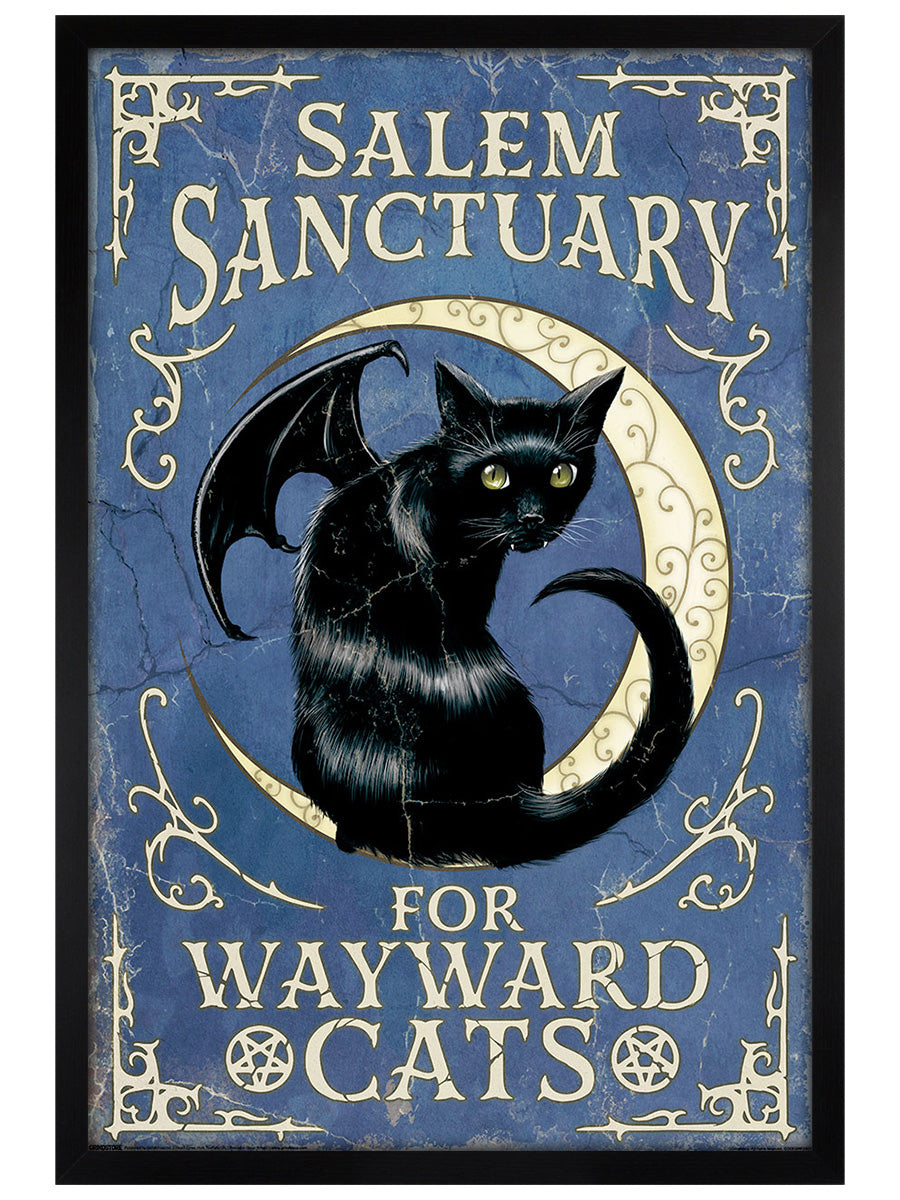Salem Sanctuary For Wayward Cats