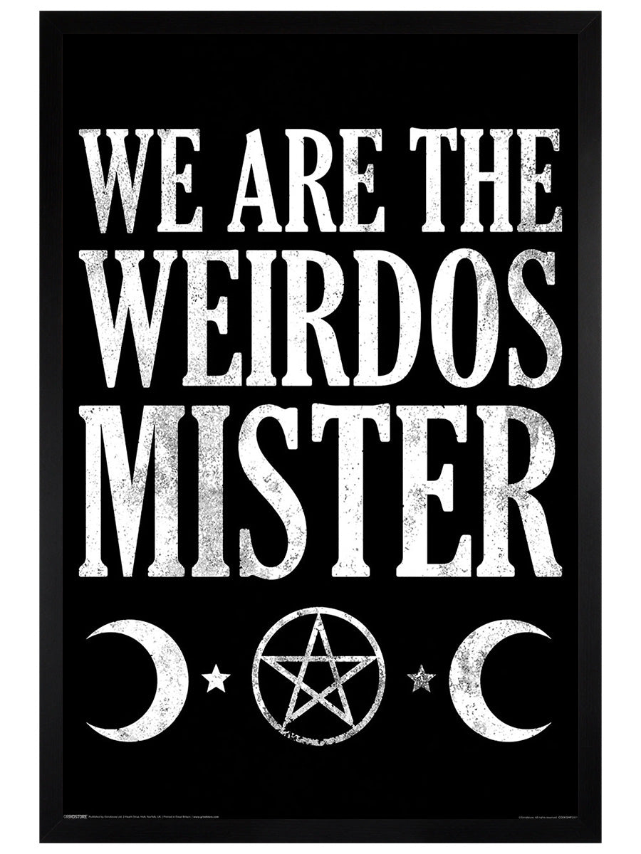 We Are The Weirdos Mister