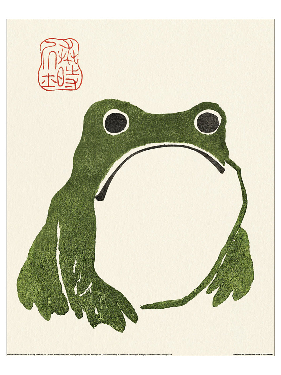 Grumpy Frog