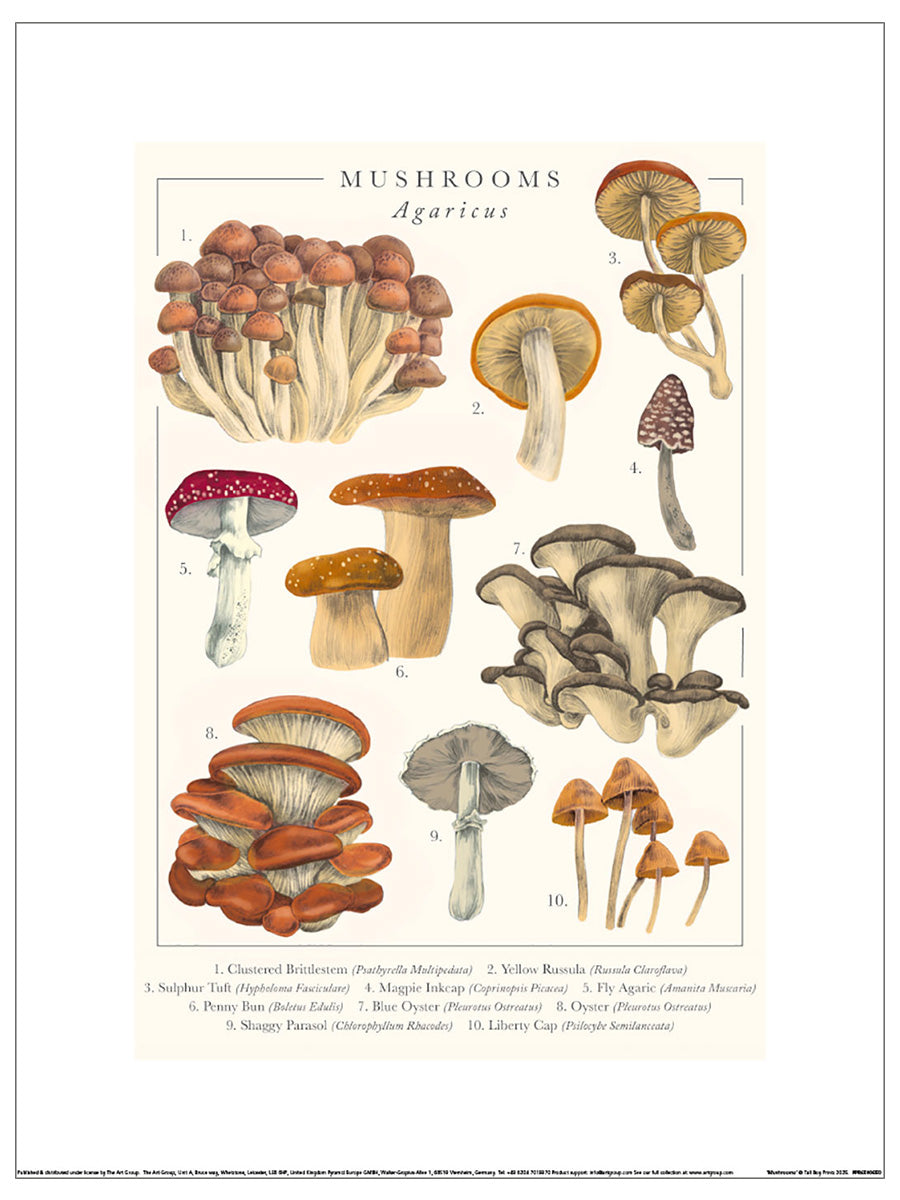 Mushrooms