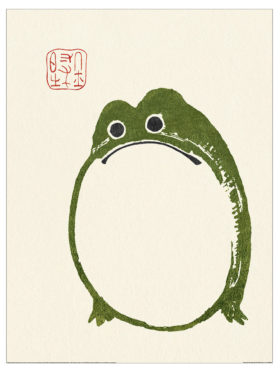 Grumpy Frog 2