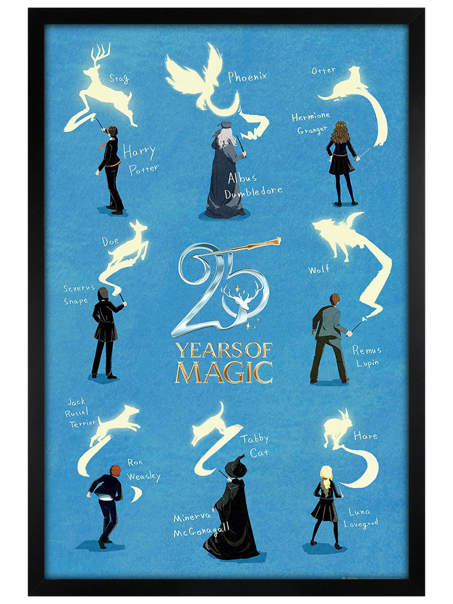 25 Years Of Magic