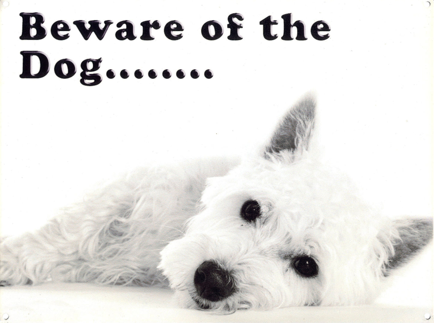 Beware of the Dog