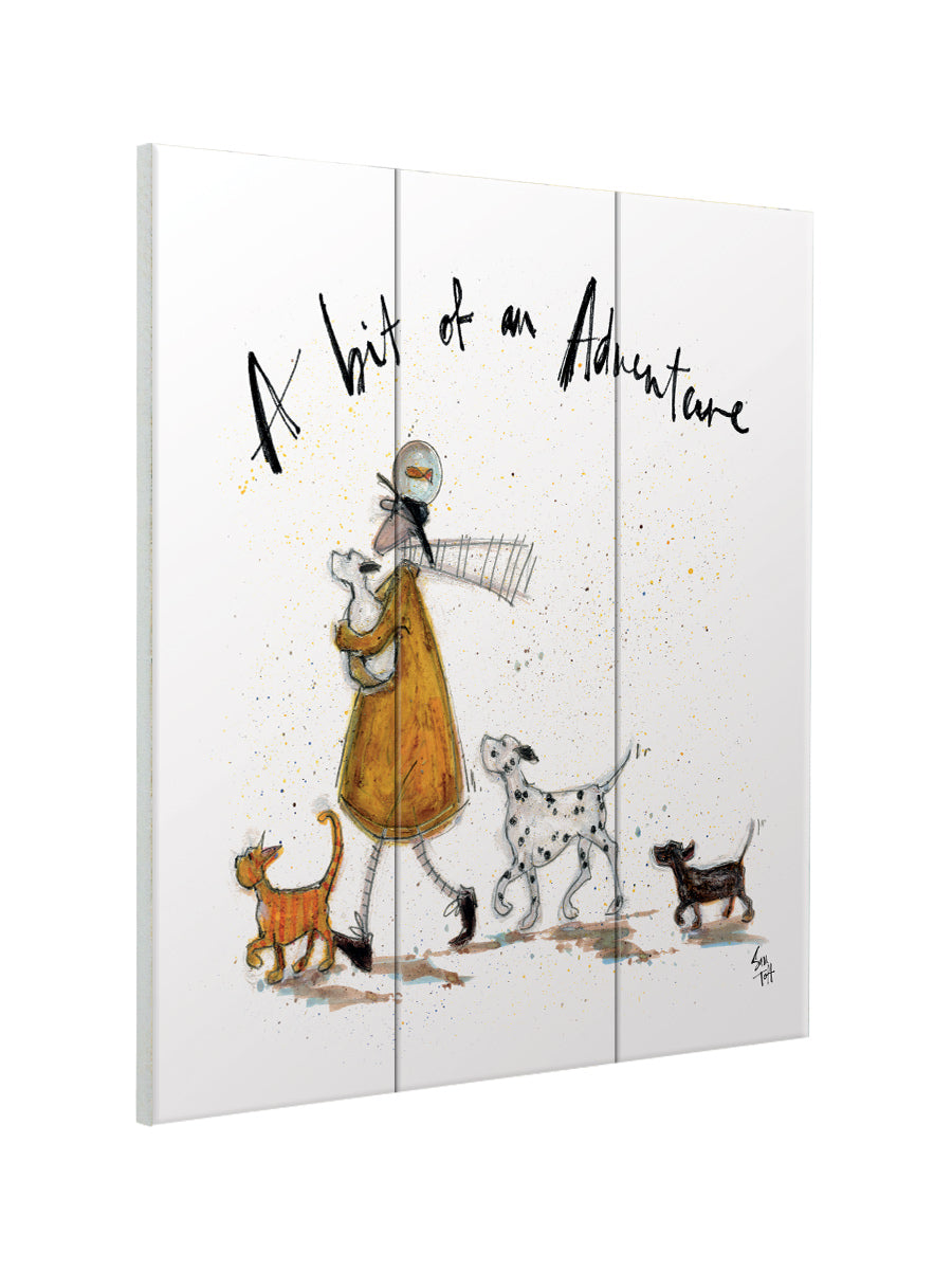 A Bit of an Adventure