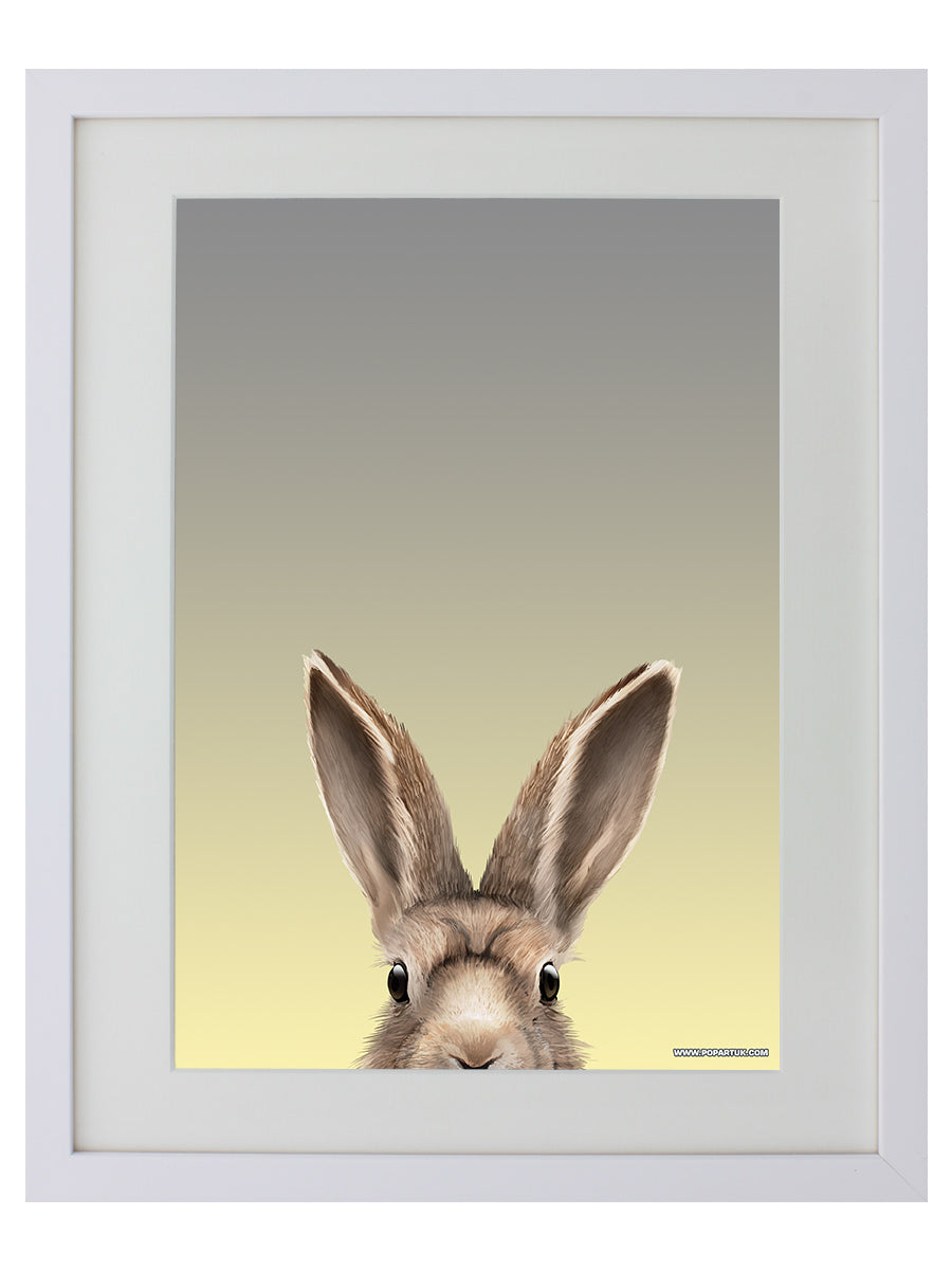 White Wooden Framed Hare