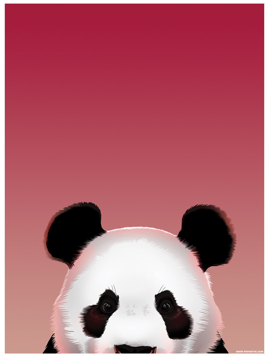 Pop Up Panda