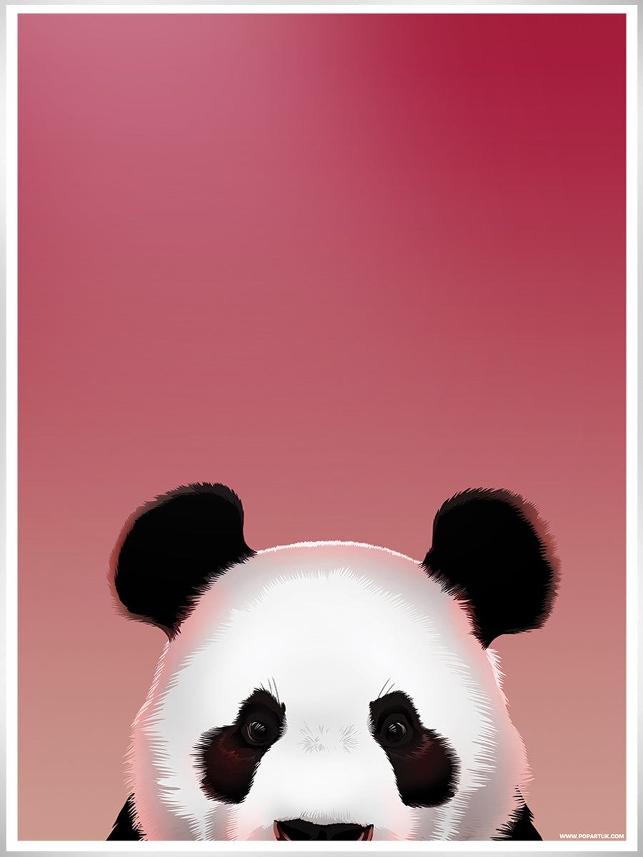 Pop Up Panda