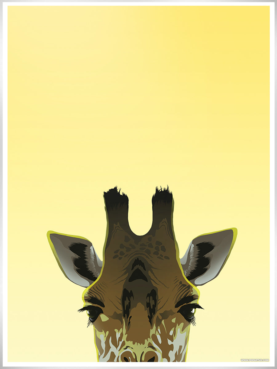 Peaking Giraffe