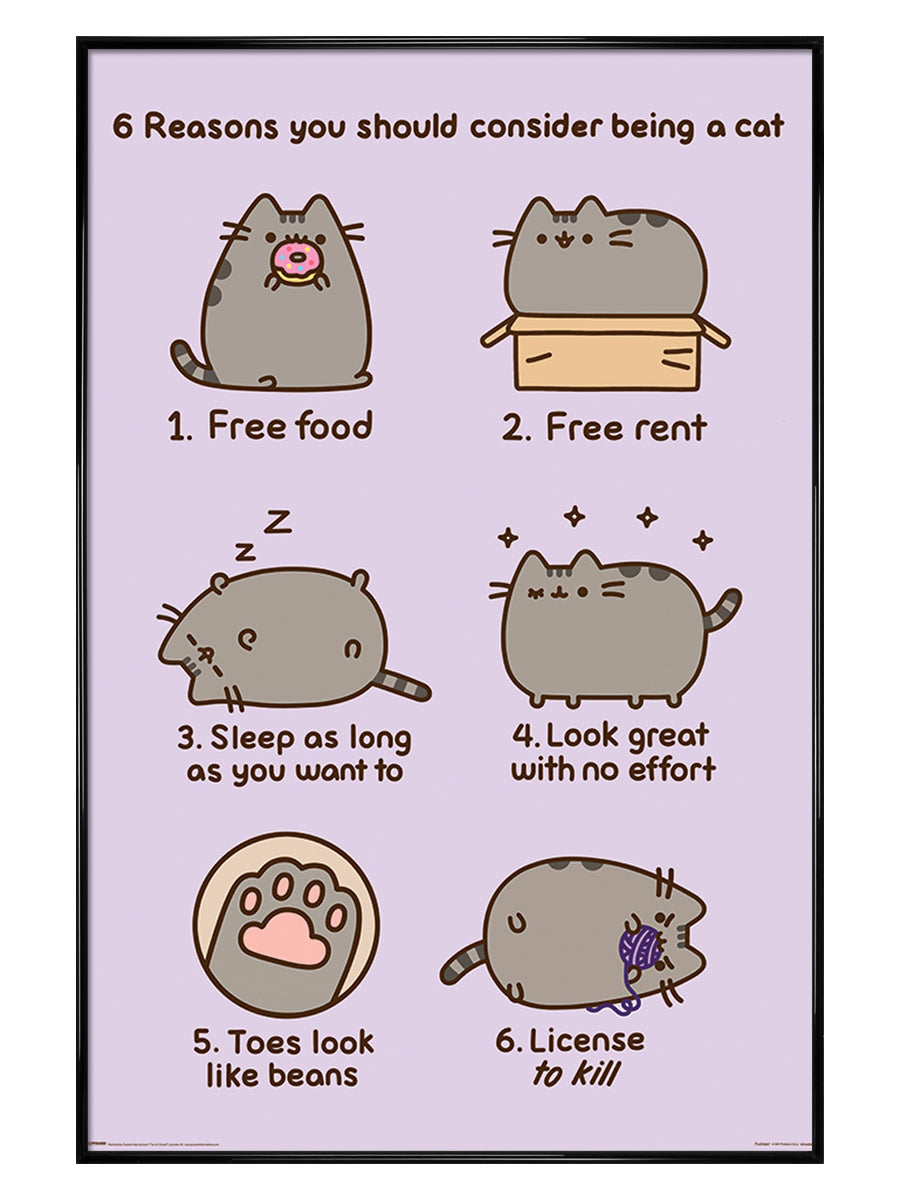 Reasons To Be A Cat