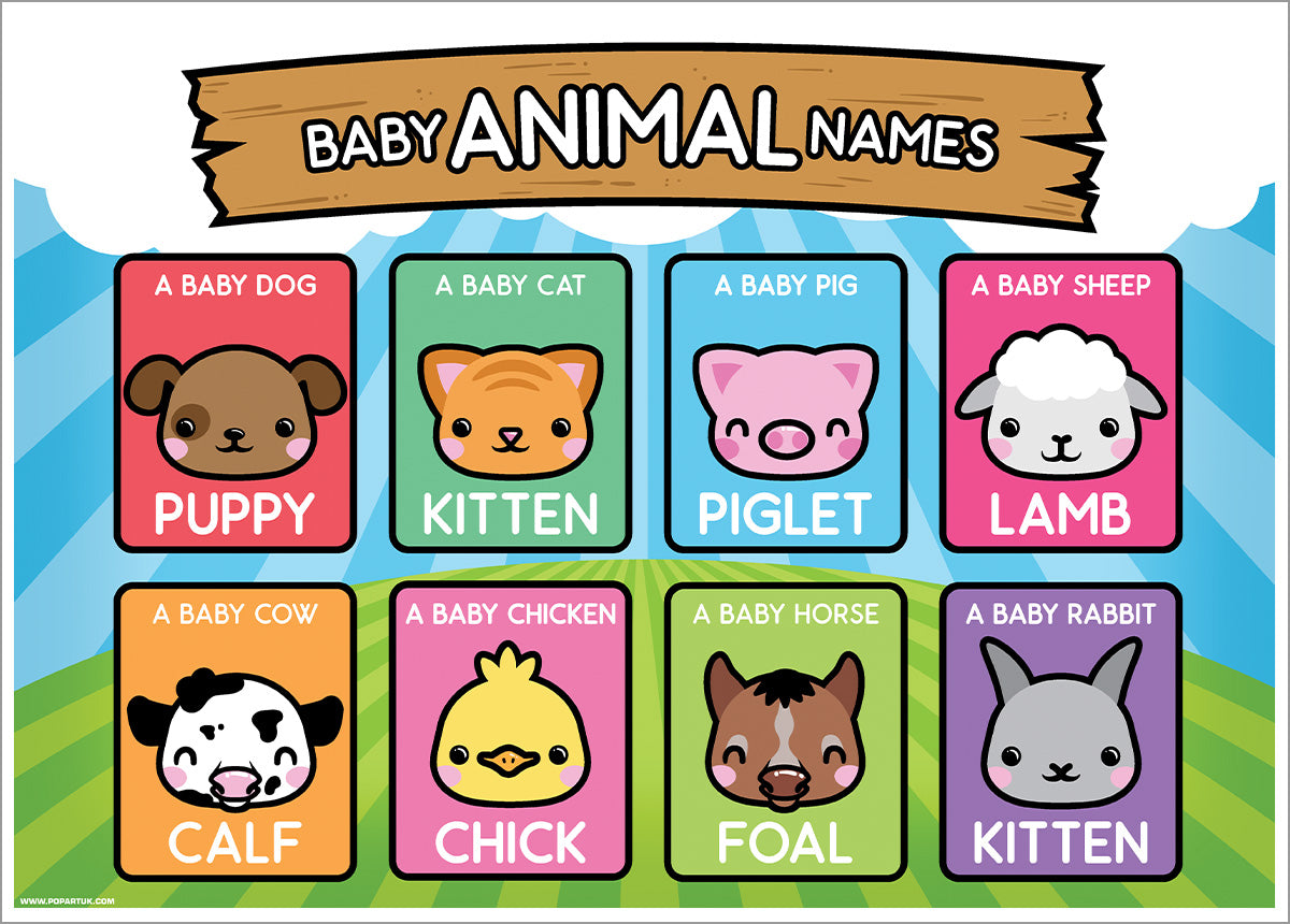 Baby Animal Names