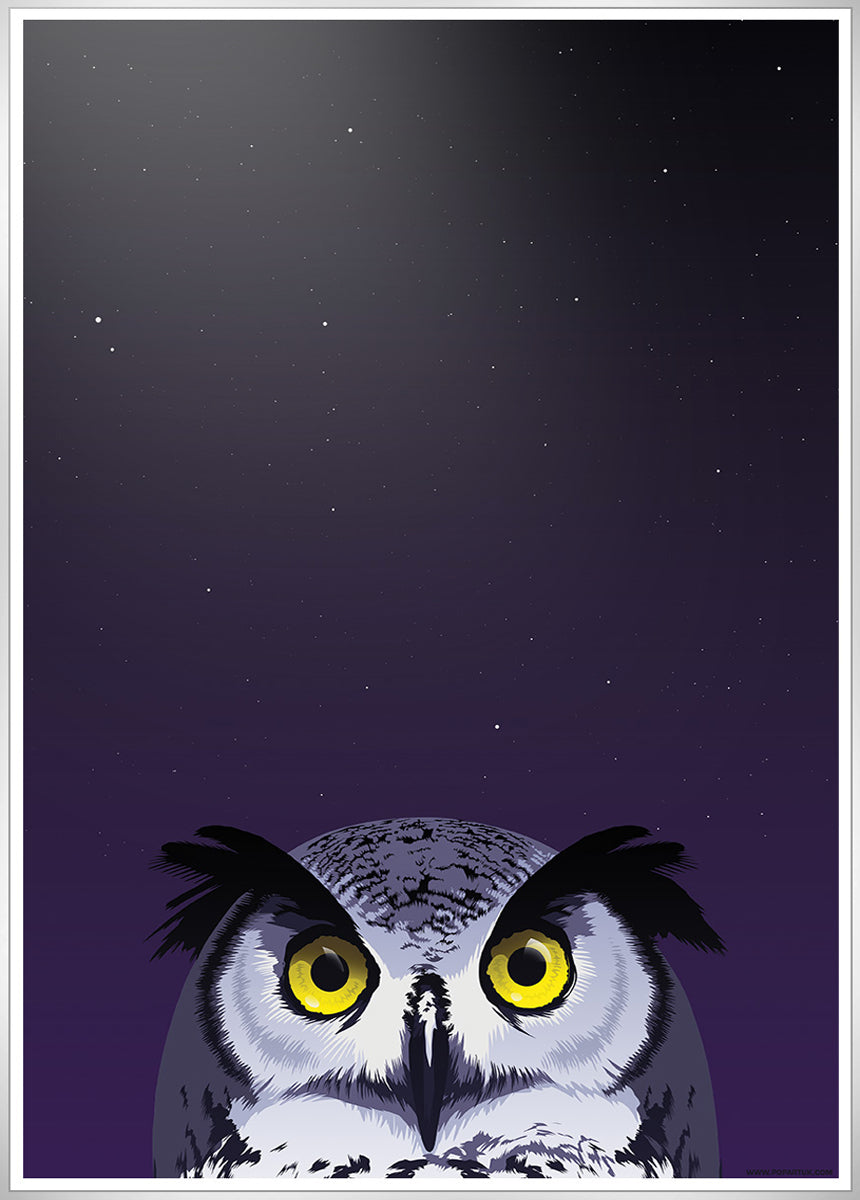 Wide-Eyed Owl