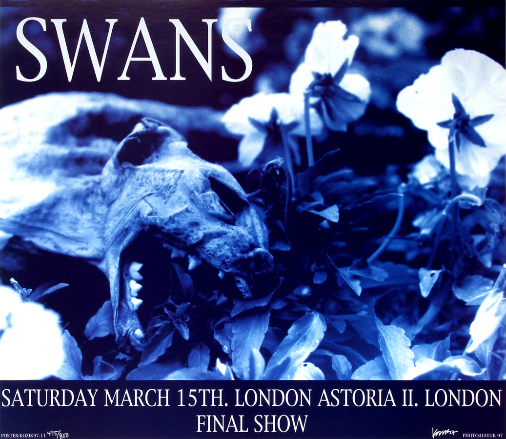 Swans at London Astoria II