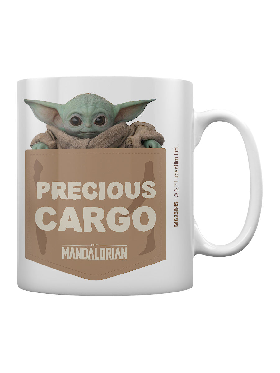 The Mandalorian Precious Cargo
