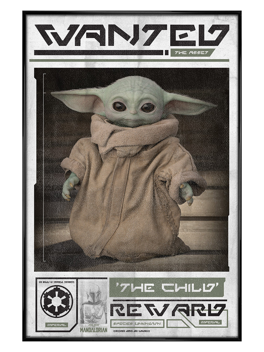 Wanted The Child, Star Wars: The Mandalorian Poster