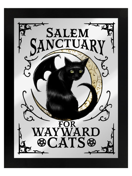 For Wayward Cats
