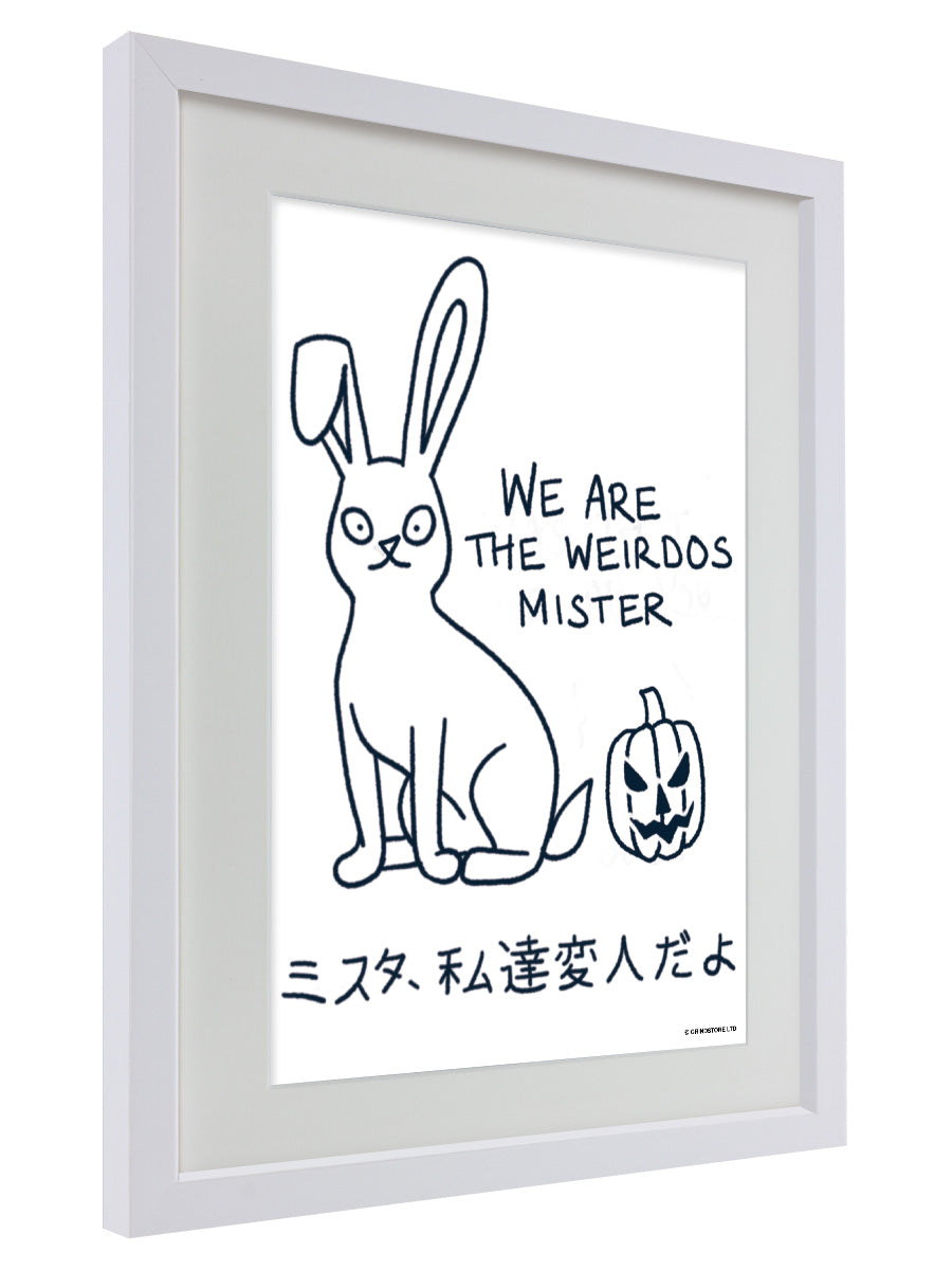 We Are The Weirdos Mister