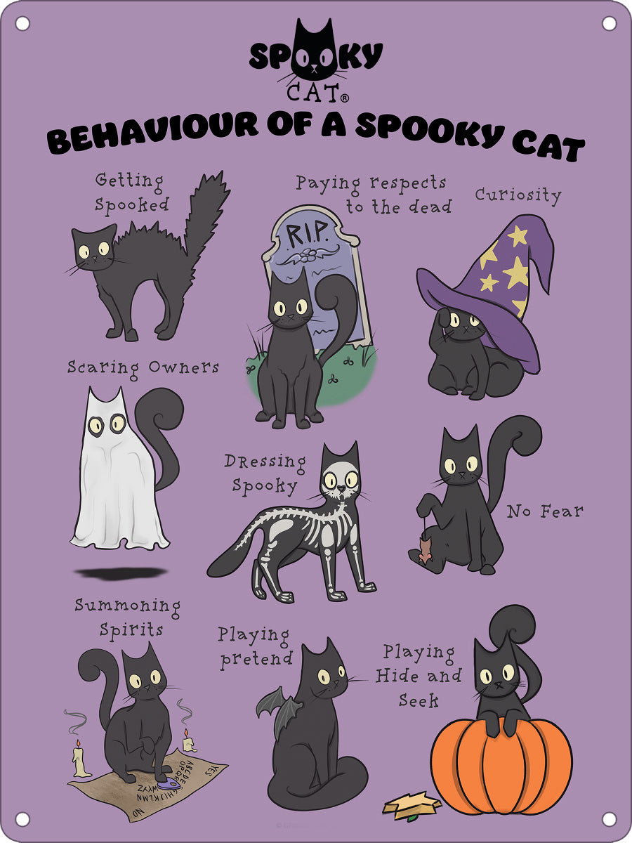 Behaviour Of A Spooky Cat