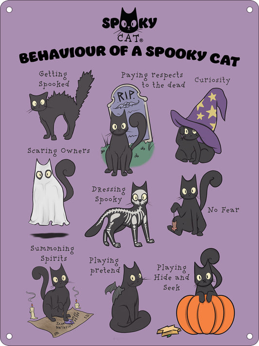 Behaviour Of A Spooky Cat