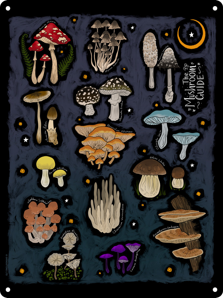 The Mushroom Guide
