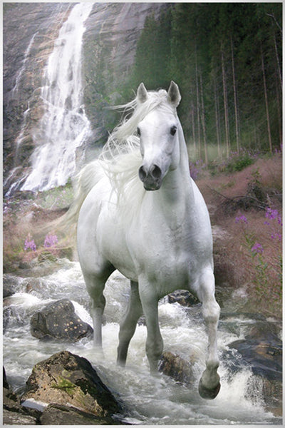 Horse in a Waterfall