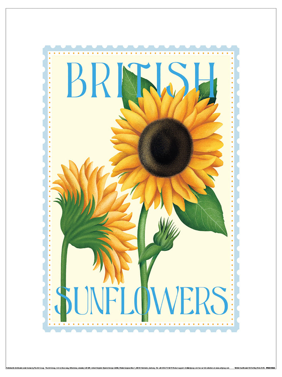 British Sunflowers