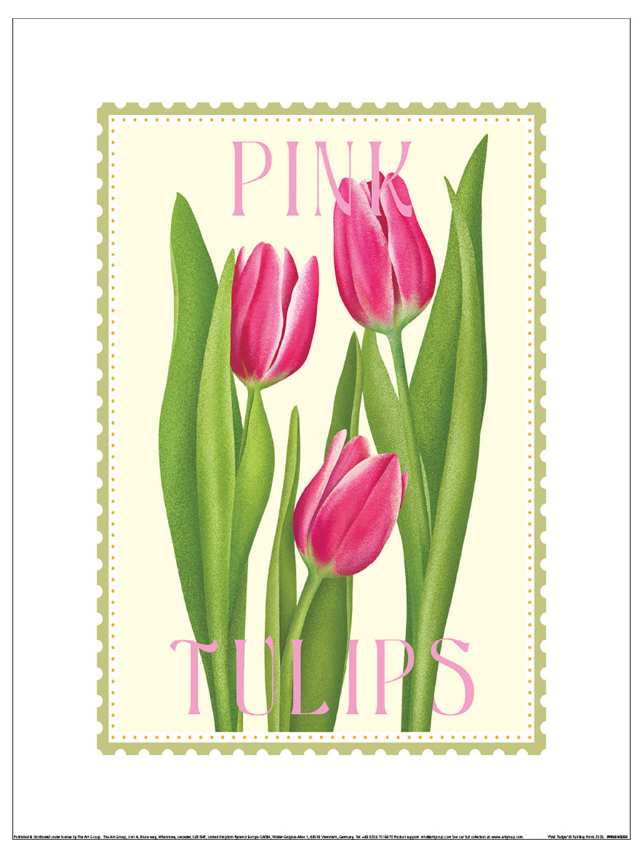 Pink Tulips