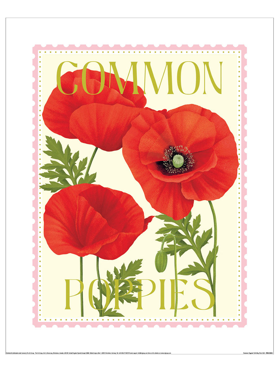 Common Poppies