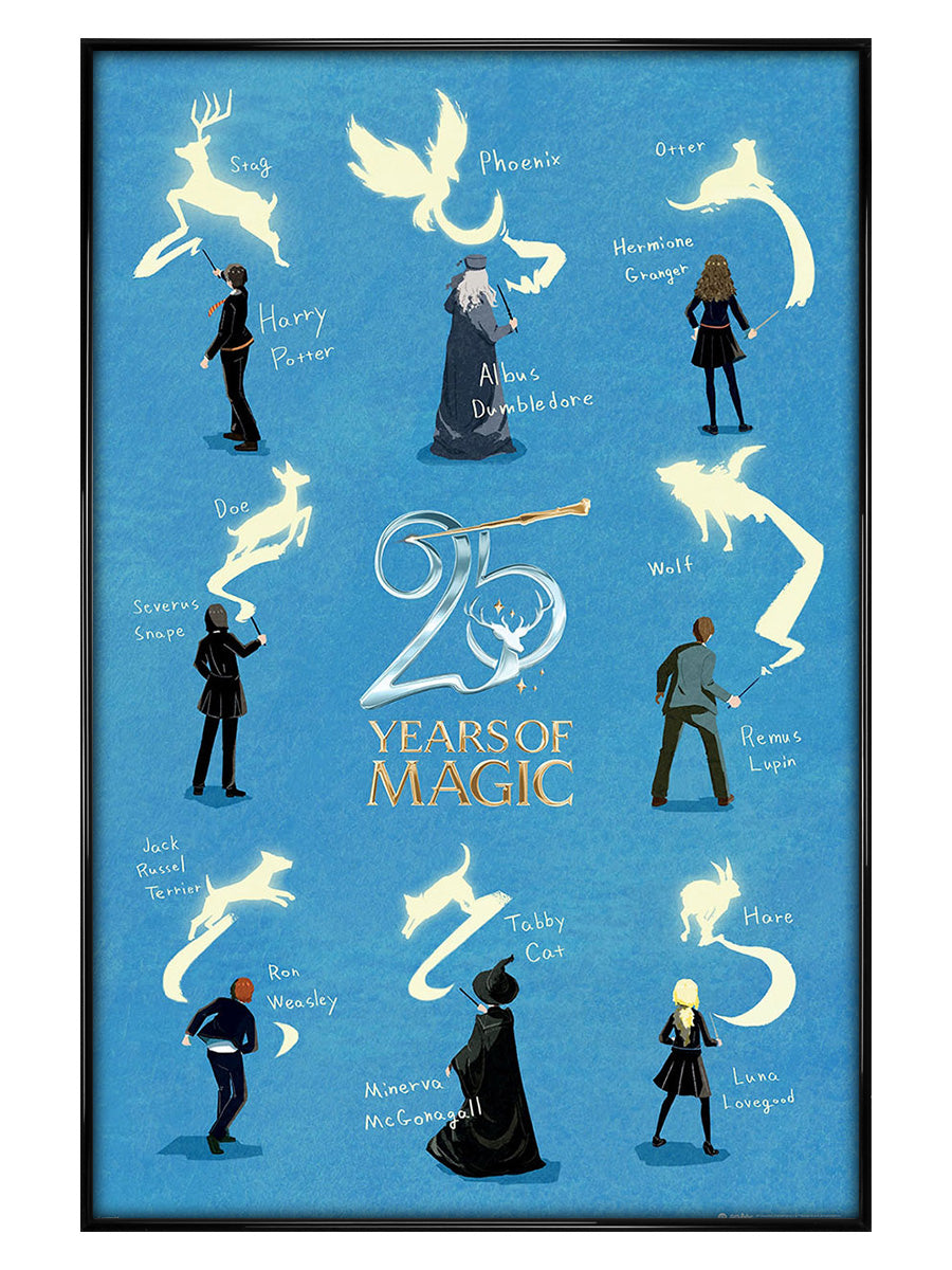 25 Years Of Magic