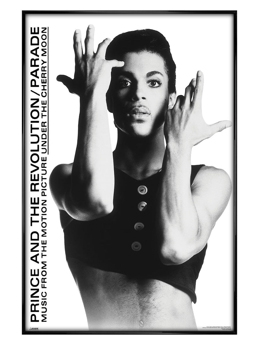 Black Gloss Framed Poster