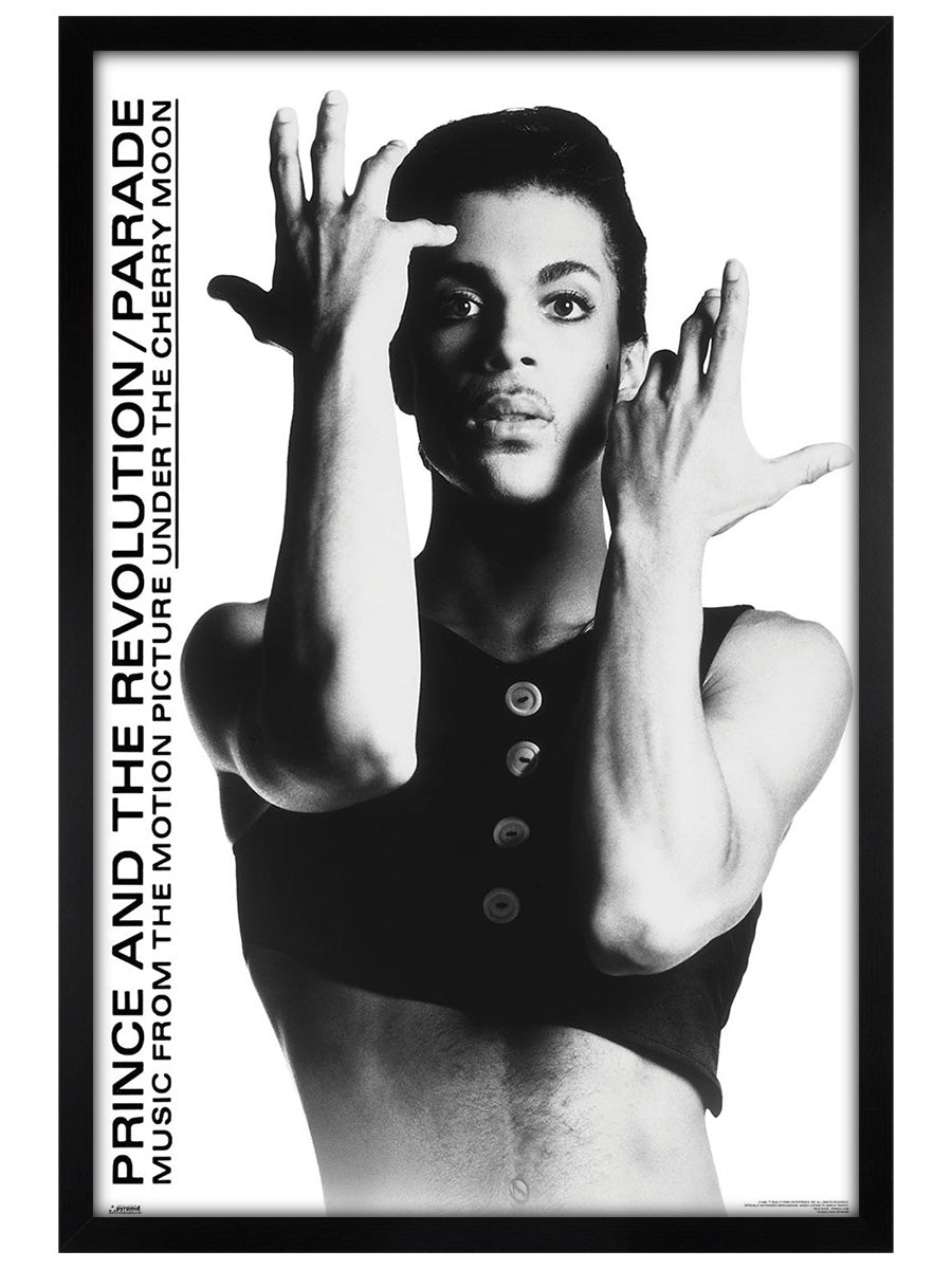 Black Wooden Framed Poster
