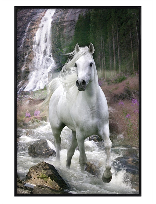 Horse in a Waterfall