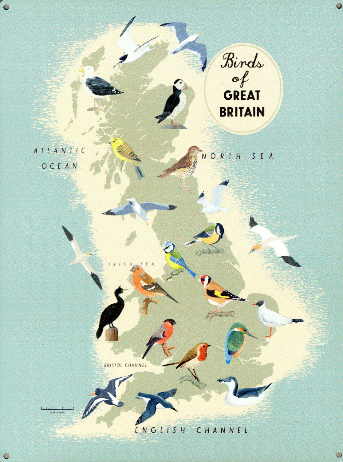 Birds Of Great Britain