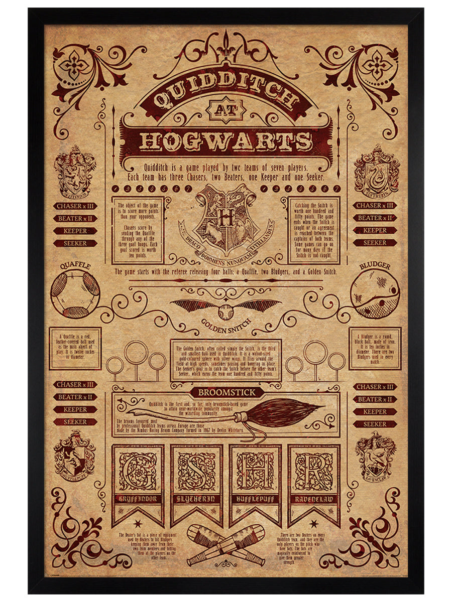 Quidditch At Hogwarts