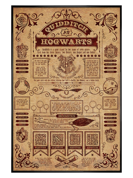 Quidditch At Hogwarts
