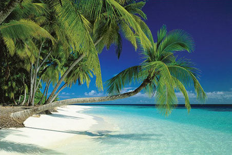 Maldives Beach and Sea